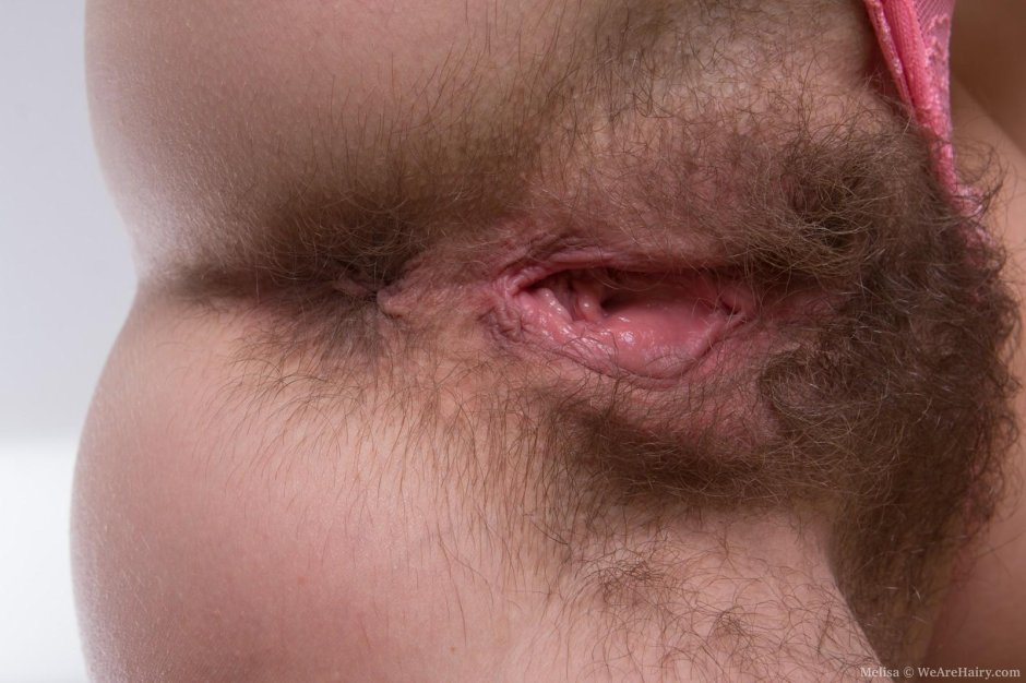 Волосатая киска