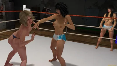 Бой девушек 3 д графика