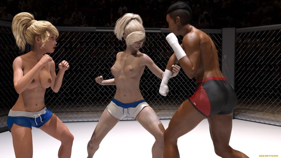 Бой девушек 3 д графика