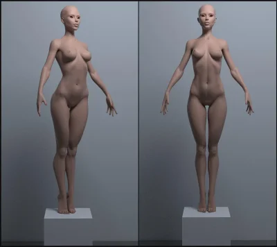 Женская фигура референс