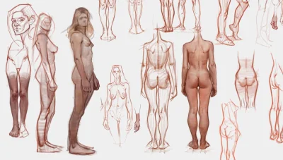 Анатомические рисунки