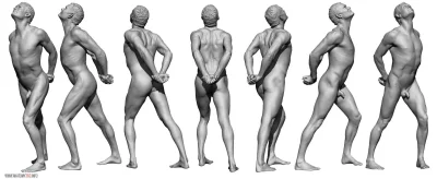 Anatomy reference