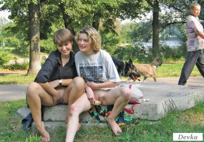 Бельгийская овчарка малинуа