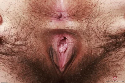 Волосатые киски