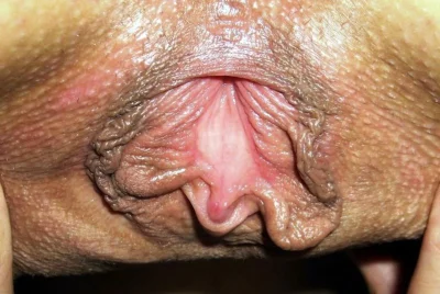 Женские гениталии крупным планом