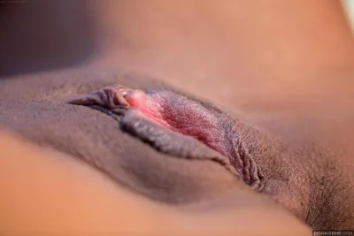 Самые красивые половые губки