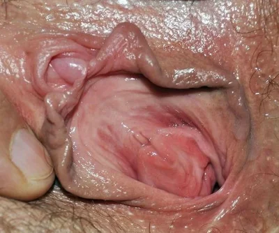 Женские половые органы порно