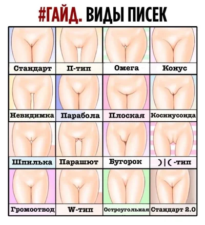 Вид писек