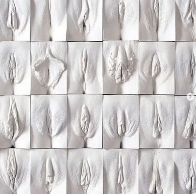 Разновидности вагин