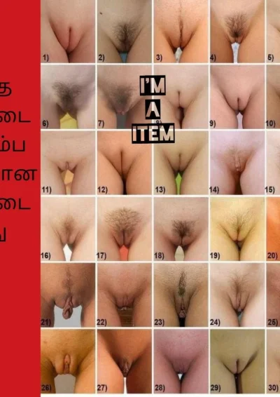 Женская писька виды