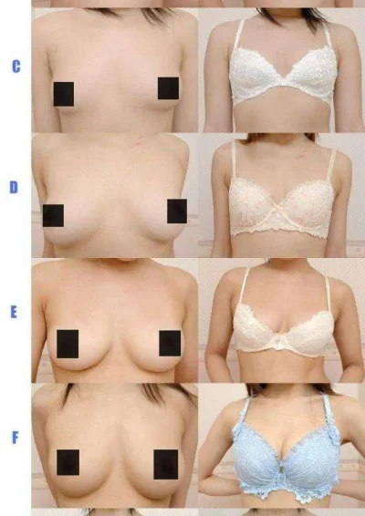 Размер груди наглядно