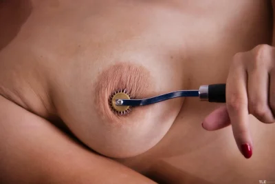 Колесо вартенберга