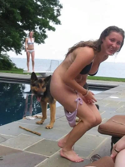 Собака немецкая овчарка