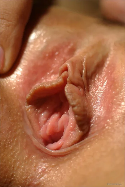 Красивые женские влагалища