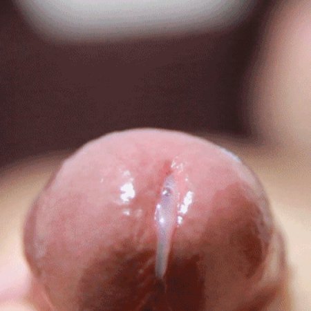 Close-up cocks cumming