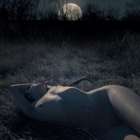 Nude photo shoot in the night forest