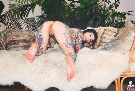 Tiger lily suicide