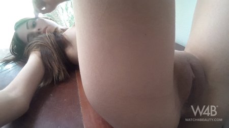 Leonella-leonella model