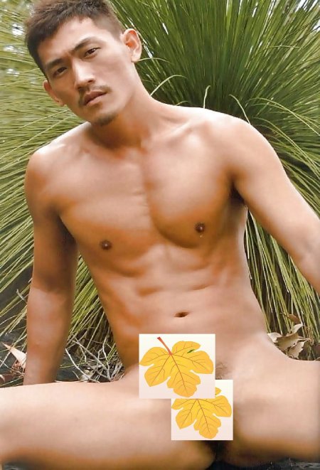 Naked hairy Asian guys