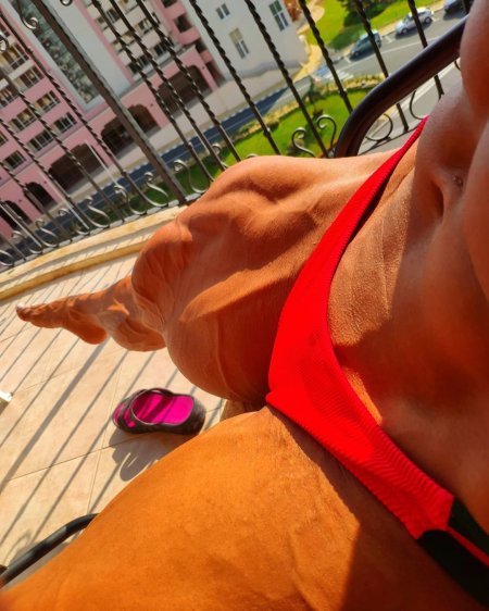 Fitness model