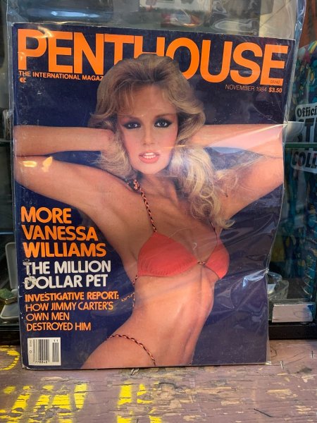 Vanessa Williams Penthouse