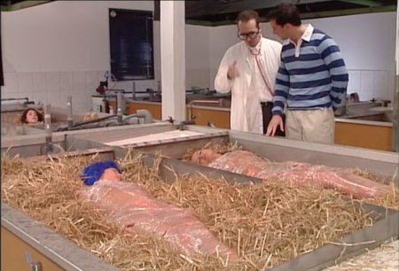 Die megageile küken farm