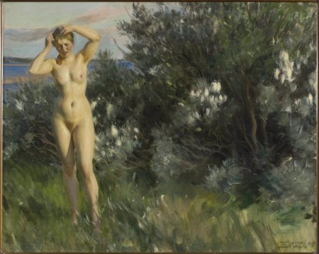 Anders Zorn nude artist