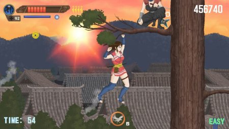 Ninja girl game