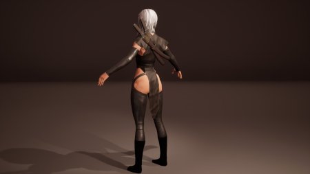 Ero action: shinobi girl