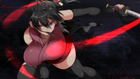 Fallen shinobi