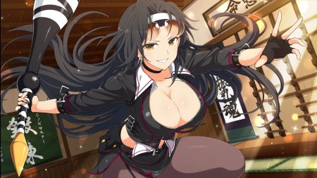 Shinobi master senran kagura
