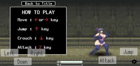 Shinobi girl game