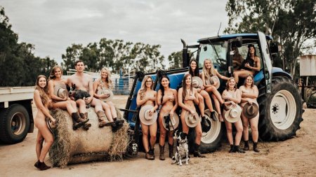 Girl on a tractor