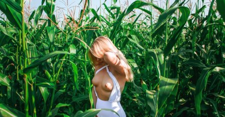 Photo shoot in a corn field