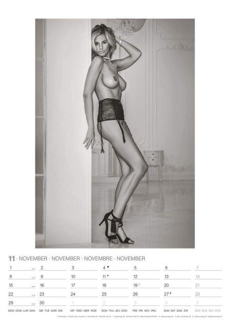 Erotic Calendars