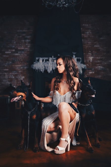 Photo shoot with a Doberman in the studio