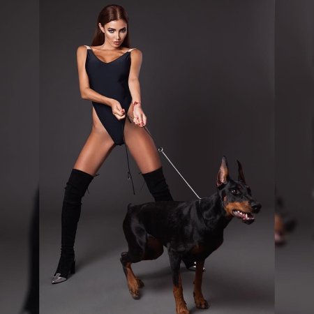 Photo shoot with a Doberman in the studio images