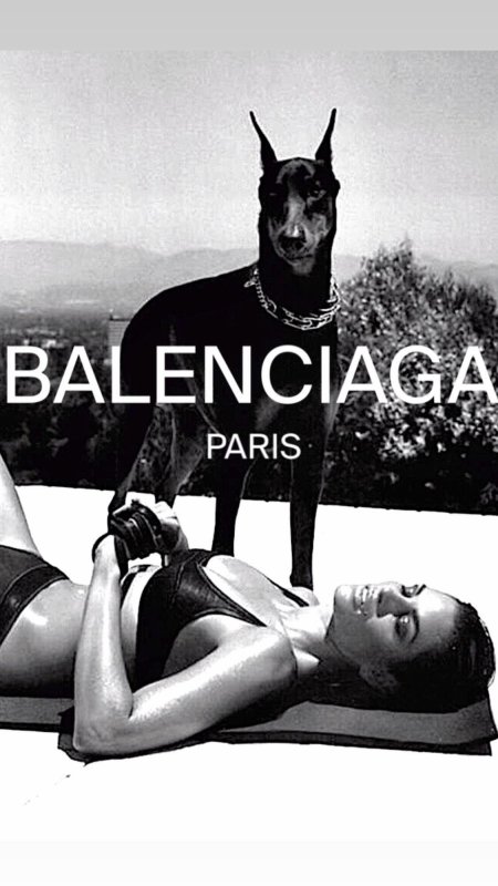 Doberman Balenciaga