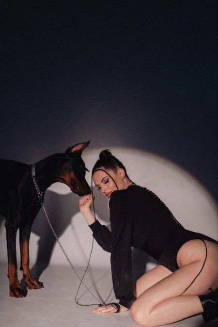 Photoshoot in the studio with a Doberman