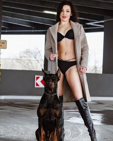 Photo session of a pregnant woman with Doberman