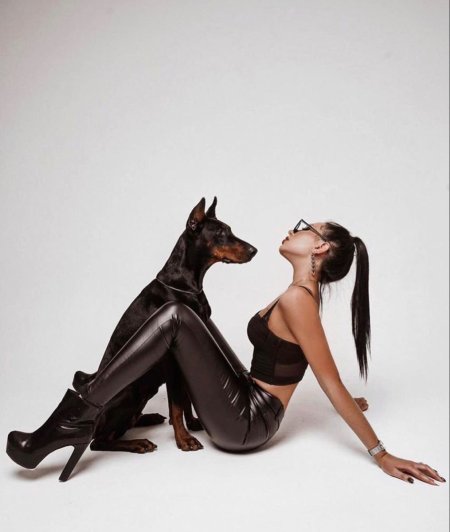 Doberman photo shoot