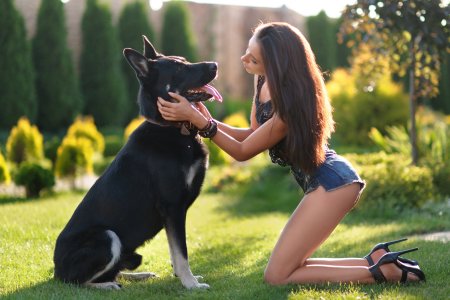 Girls try with dogs