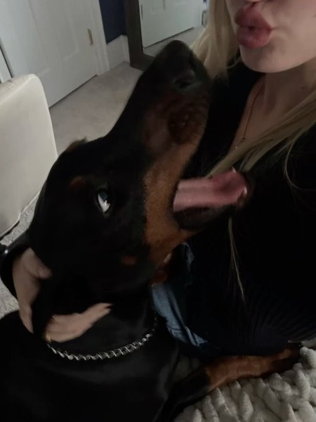Doberman and girl