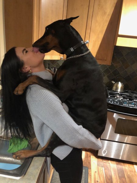 Doberman with his owner