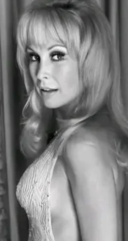Barbara Eden Breasts