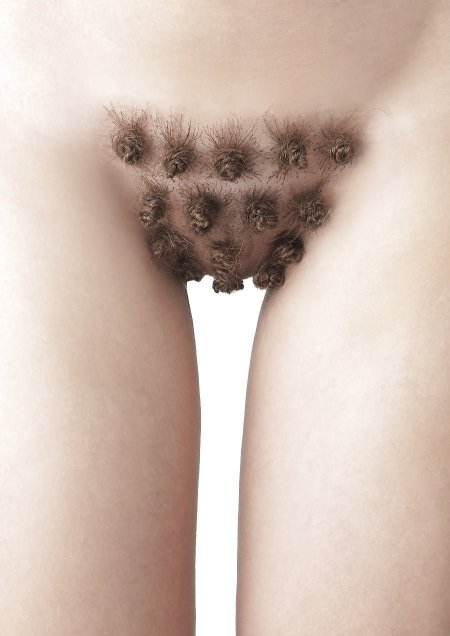 Pubic Hair Designs Women