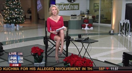 Megyn Kelly Breasts