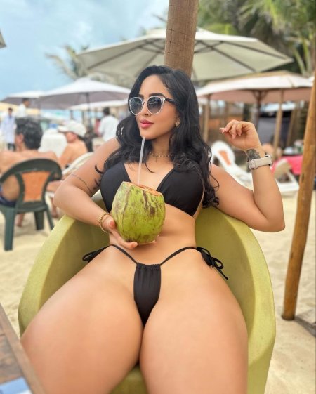 Ashley carolina