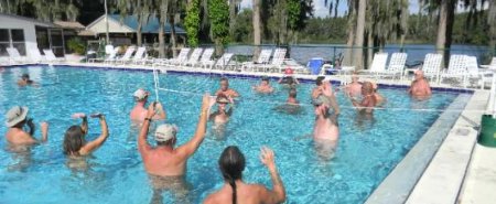 Naturist families in the pool