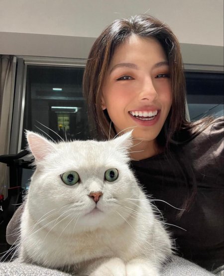 White cat